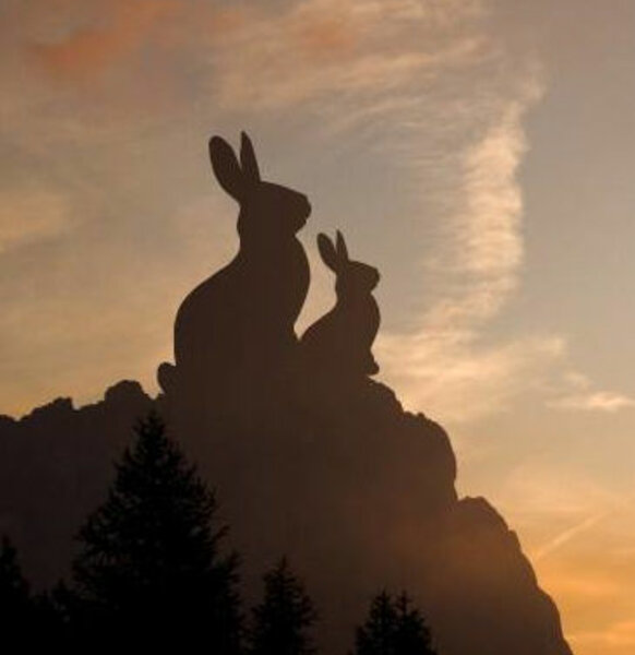 Umriss zweier Hasen auf einem Berggipfel zum Sonnenuntergang