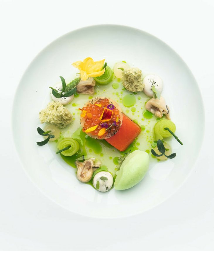 Gourmetgericht auf weißem Teller, kunstvoll angerichtet mit Lachs, grünem Püree und dekorativen Zutaten.
