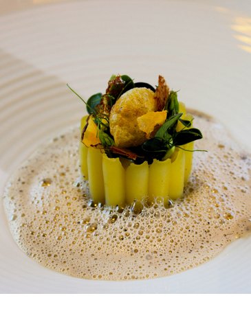 Gourmetgericht mit kunstvoll angerichteten Nudeln und Schaumsoße auf weißem Teller im Severin*s The Alpine Retreat.