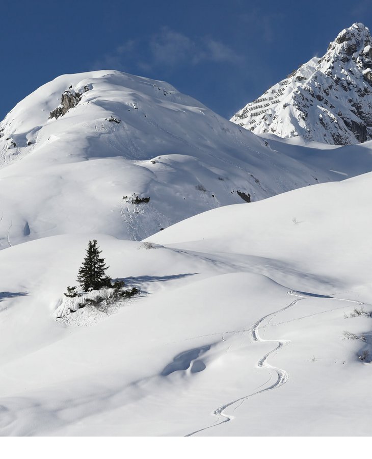 Schneebedeckte Alpenlandschaft mit Spuren im Schnee und zwei Tannen, blauer Himmel im Hintergrund.