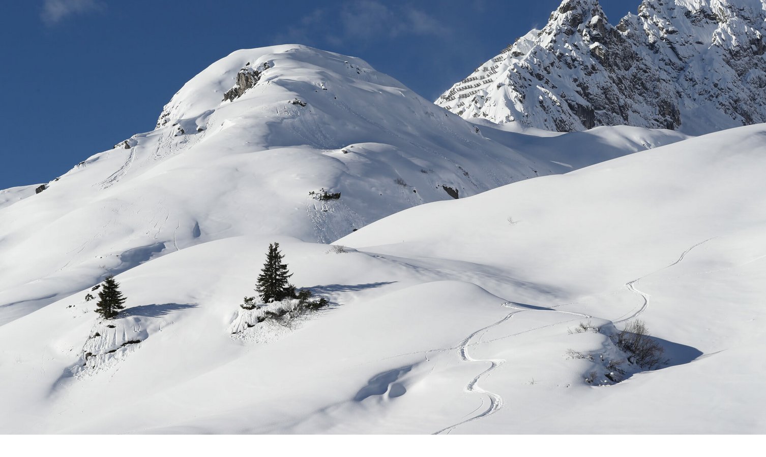 Schneebedeckte Alpenlandschaft mit Spuren im Schnee und zwei Tannen, blauer Himmel im Hintergrund.