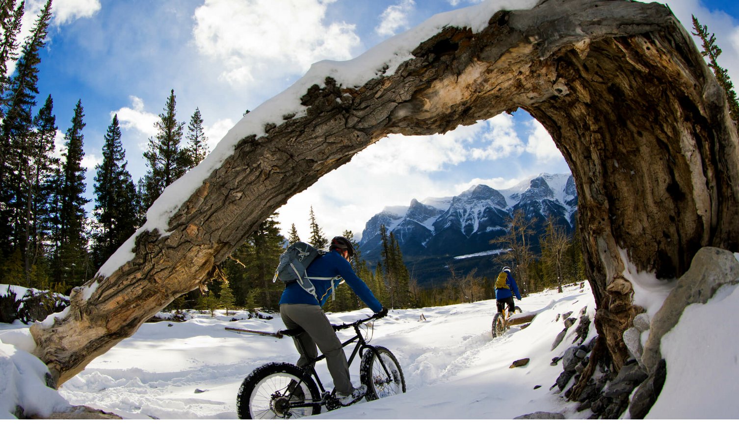 Zwei Radfahrer fahren im Schnee unter einem gebogenen Baumstamm, Berge und Tannen im Hintergrund.